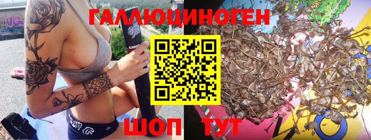 Томск  Псилоцибиновые грибы прущие грибы  Вход с VPN 